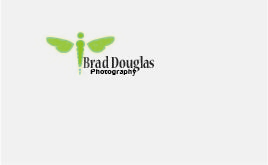 Logo Design by Seema Upadhyaya for this project | Design: #4219659