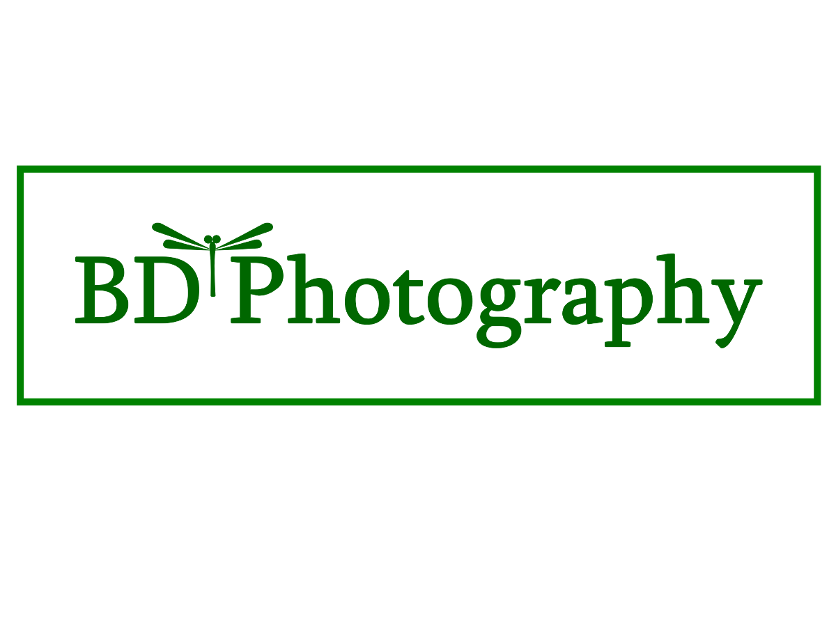 Logo Design by a_stacy for this project | Design #4188306