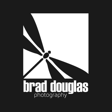 Logo Design by Shaun for this project | Design #4188440