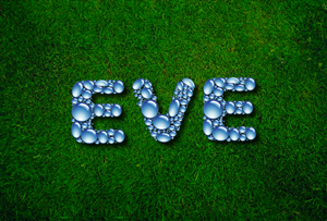 Logo Design by SeXtreme