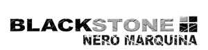 Logo Design by Theo Stevens