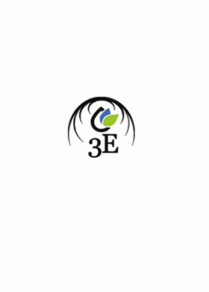 Logo Design by  bash
