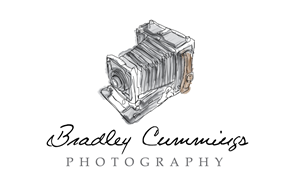 Logo Design by Meagan Hungerford Graphic Design