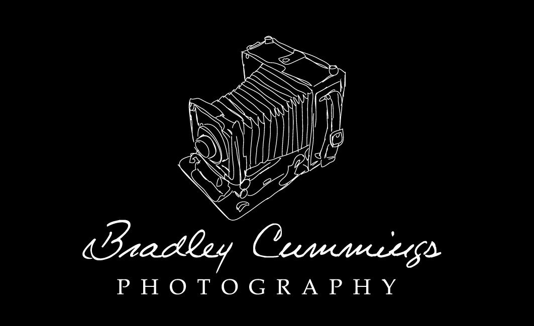 Logo Design by Meagan Hungerford Graphic Design for this project | Design #165748