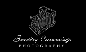 Logo Design by Meagan Hungerford Graphic Design for this project | Design: #165748