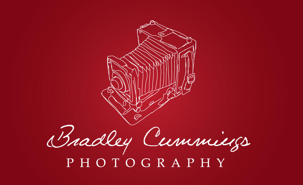 Logo Design by Meagan Hungerford Graphic Design for this project | Design #165749