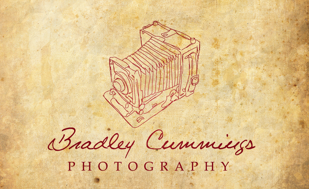 Logo Design by Meagan Hungerford Graphic Design for this project | Design #165757