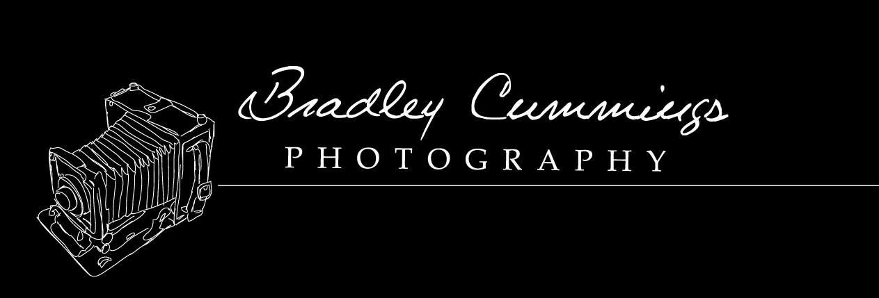 Logo Design by Meagan Hungerford Graphic Design for this project | Design #165781