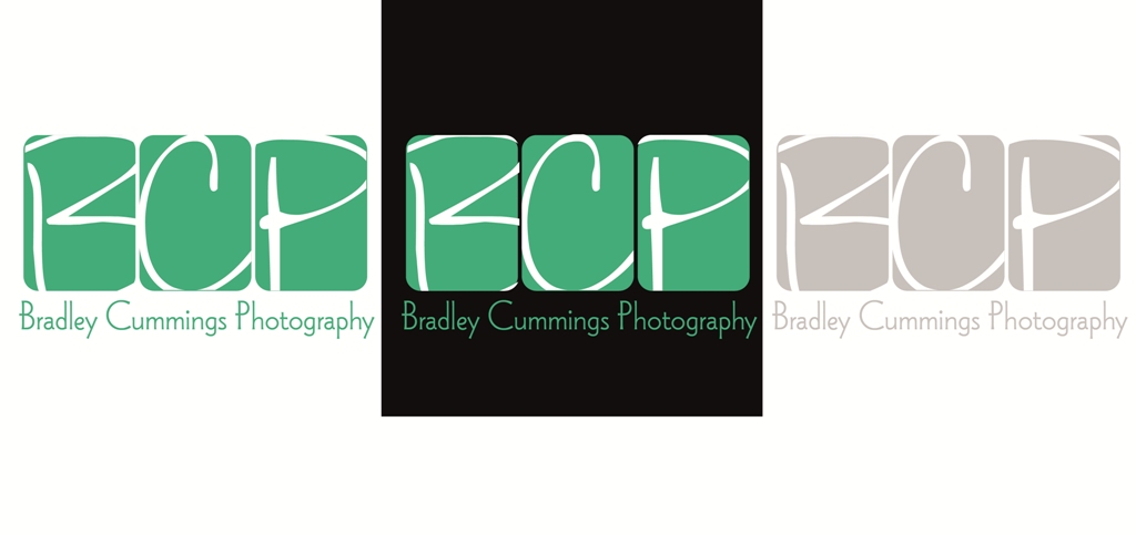 Diseño de Logo por Oh no para este proyecto | Diseño #167593