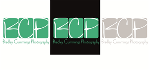 Logo Design by Oh no for this project | Design: #167593