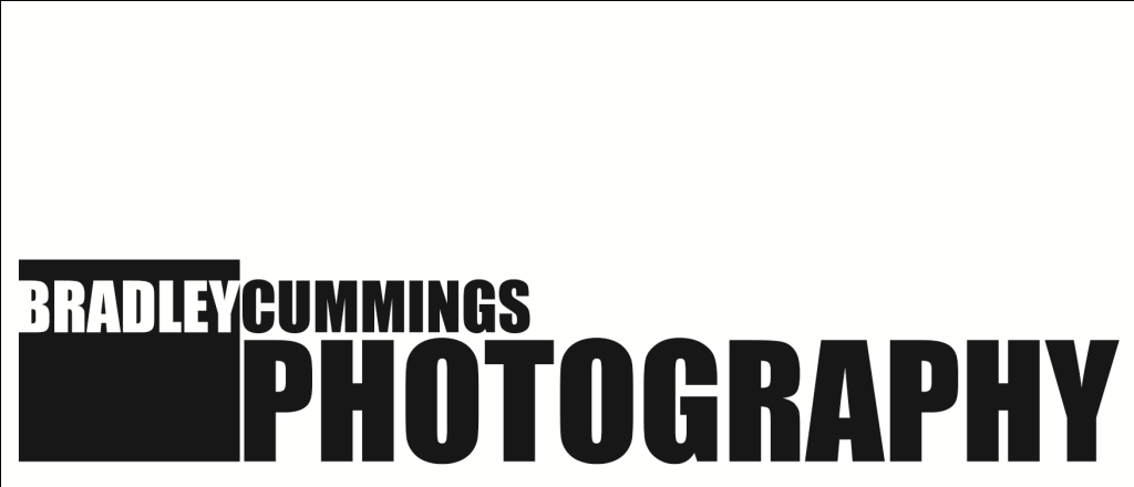 Logo Design by Oh no for this project | Design #168688