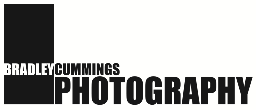 Logo Design by Oh no for this project | Design #168691