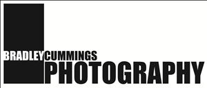 Logo Design by Oh no for this project | Design: #168691