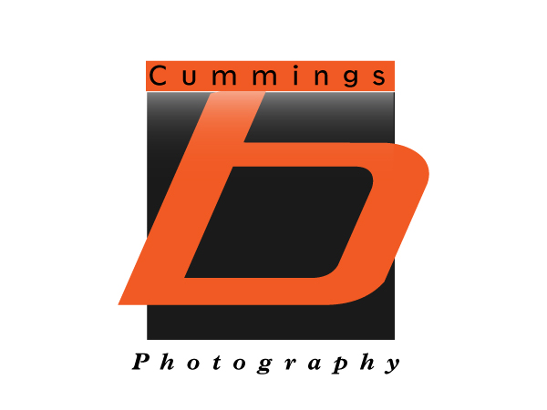 Logo Design by Surya Prakash for this project | Design #167454