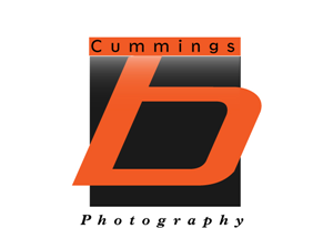 Logo Design by Surya Prakash