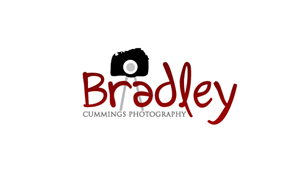 Logo Design by DESIGNERS.dairy