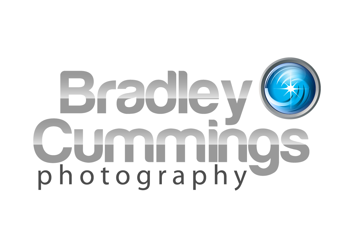 Logo Design by starcasa for this project | Design #166740