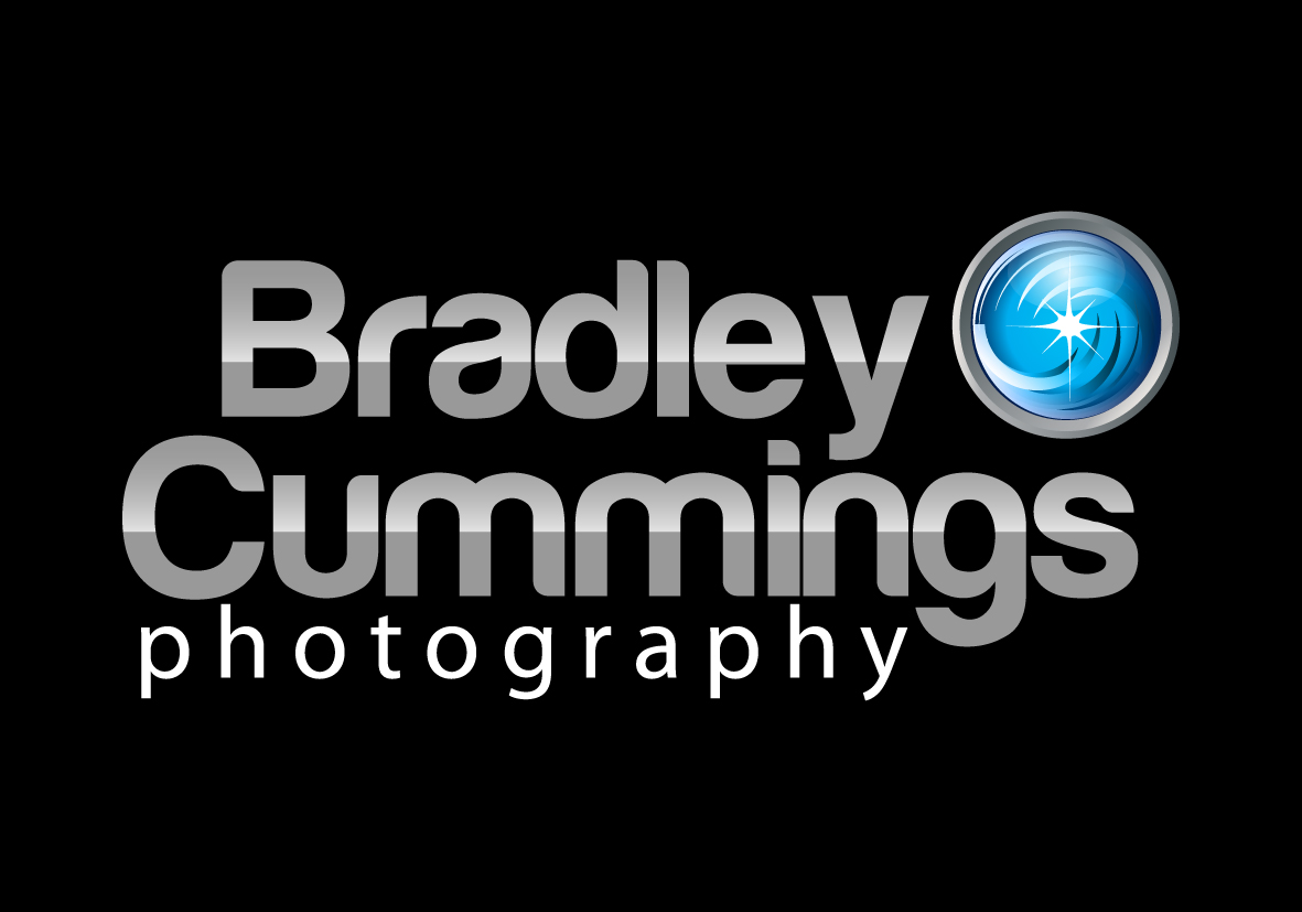 Logo Design by starcasa for this project | Design #166742