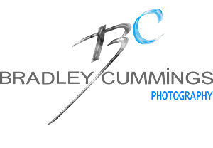 Logo Design by Mirela78 for this project | Design: #172273