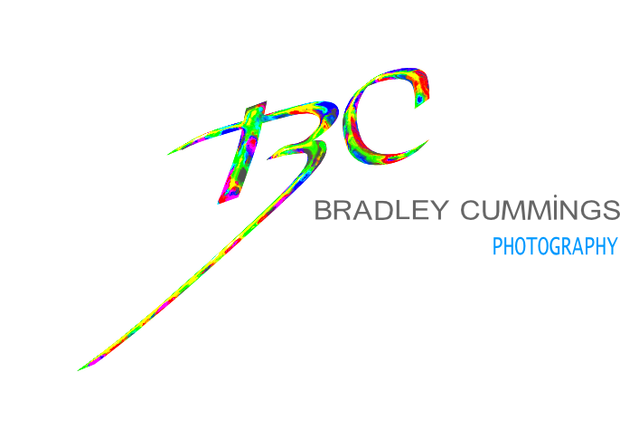 Logo Design by Mirela78 for this project | Design #173165