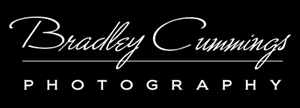 Logo Design by cre8it