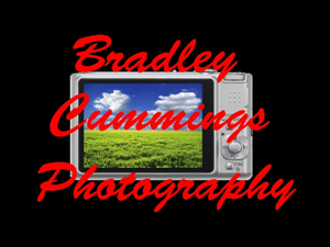 Logo Design by YourLogoHereDesigns
