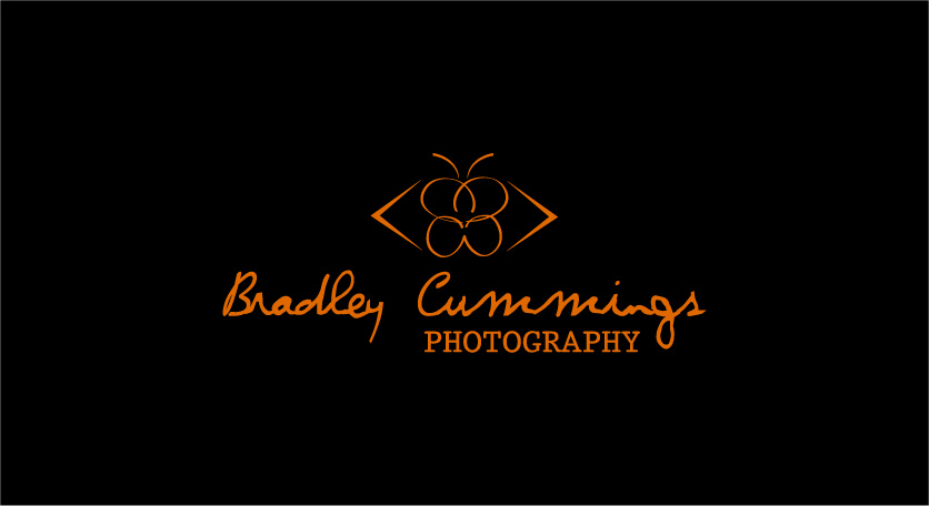 Logo Design by xinxinrenlei for this project | Design #175130