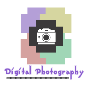 Logo Design by Shilpa for this project | Design: #168905
