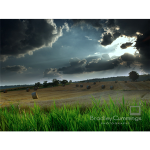 Logo Design by JACQUI for this project | Design: #170570