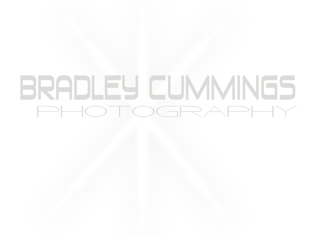 Logo Design by g.fritsch design for this project | Design #167145