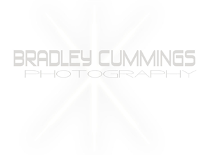 Logo Design by g.fritsch design for this project | Design: #167145