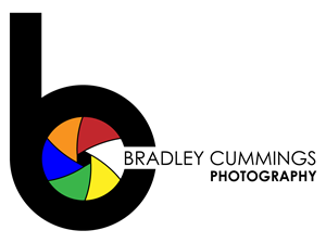 Logo Design by Bakus