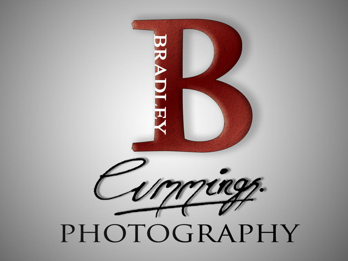 Logo Design by Nicholas D for this project | Design #166737