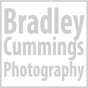 Logo Design by FlygirlDesign