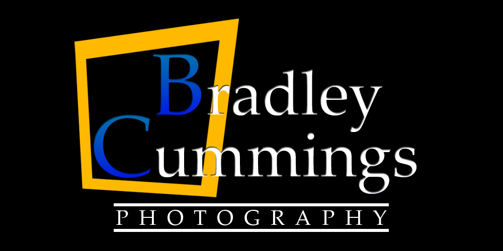 Logo Design by Daniel Benitez for this project | Design #167185