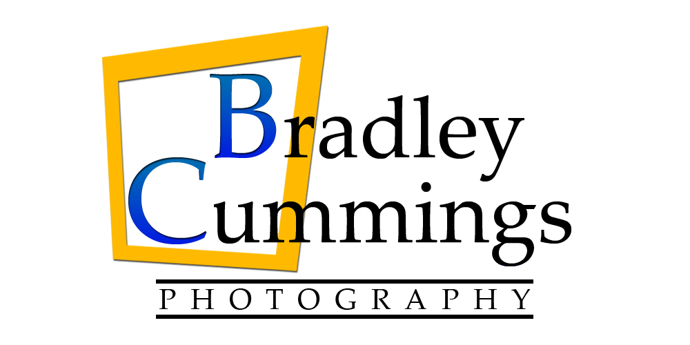 Logo Design by Daniel Benitez for this project | Design #167190