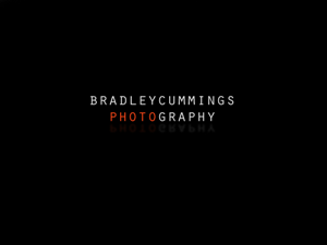 Logo Design by Lyci