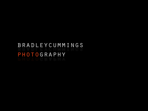 Logo Design by Lyci for this project | Design #169164