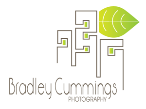 Logo Design by Suzie Q - Q13Designs.com for this project | Design: #171840