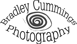 Logo Design by Enzo 