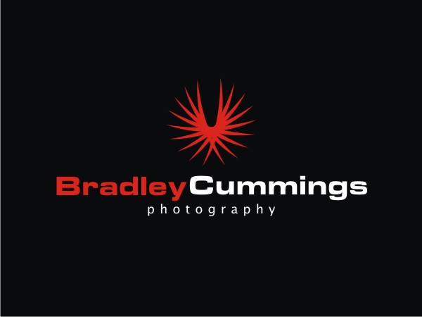 Logo Design by Logocraft for this project | Design #168422