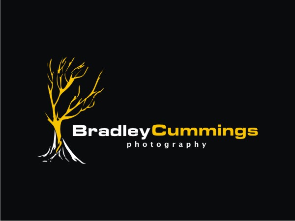 Logo Design by Logocraft for this project | Design #168455