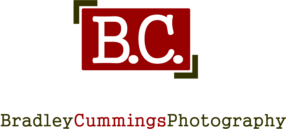 Logo Design by LUSH GRAPHIX for this project | Design #174984