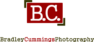 Logo Design by LUSH GRAPHIX for this project | Design: #174984