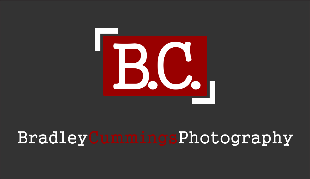 Logo Design by LUSH GRAPHIX for this project | Design #174986