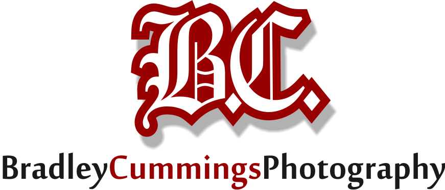 Logo Design by LUSH GRAPHIX for this project | Design #174991