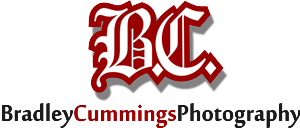 Logo Design by LUSH GRAPHIX for this project | Design: #174991