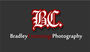 Logo Design by LUSH GRAPHIX for this project | Design: #174993