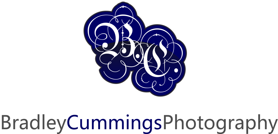 Diseño de Logo por LUSH GRAPHIX para este proyecto | Diseño #175007