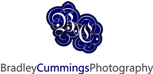 Logo Design by LUSH GRAPHIX for this project | Design: #175007